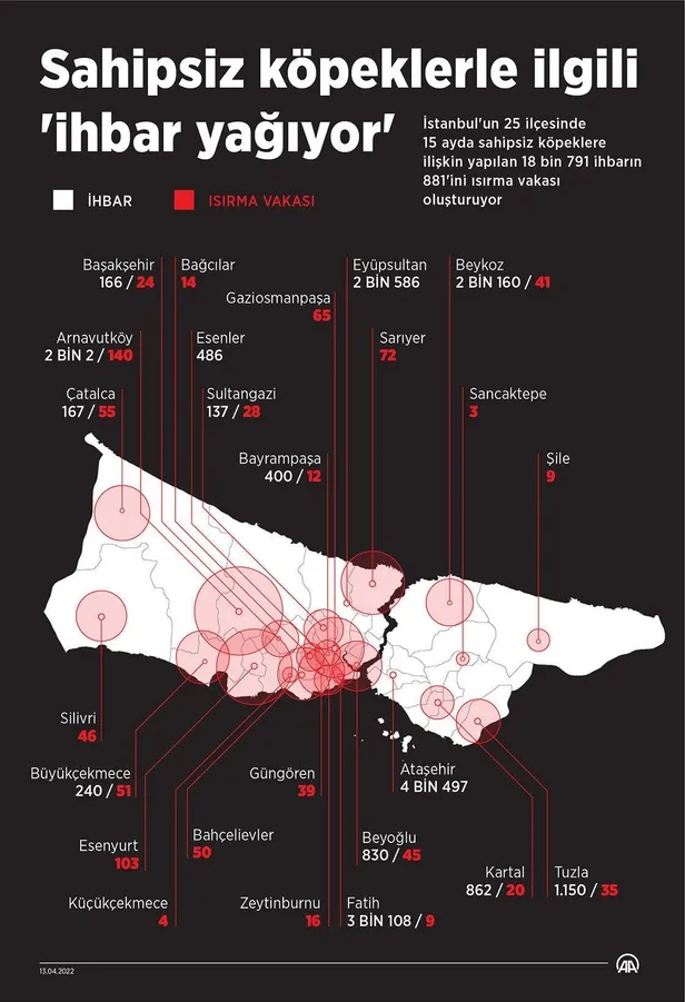 İstanbul'un 25 ilçesi adeta alarm veriyor! Sahipsiz köpeklerin saldırıları ile ilgili ihbarlar arttı-7