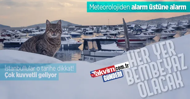 HAVA DURUMU | İstanbul'da yaşayanlar o tarihe dikkat! Kuvvetli kar geliyor! 42 il için alarm verildi | 1-5 Şubat 2023