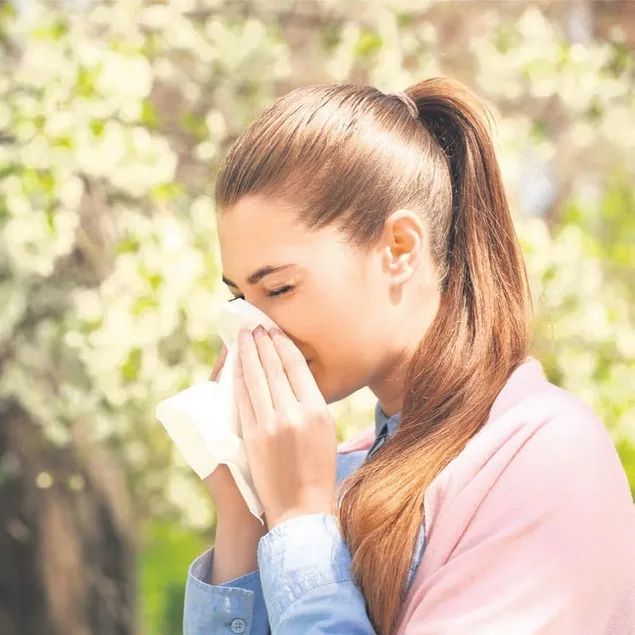 Yedim seni bahar alerjisi