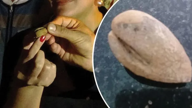 Iğdır'da bulundu! Fotoğraf çektirmek için sıraya girdiler-1