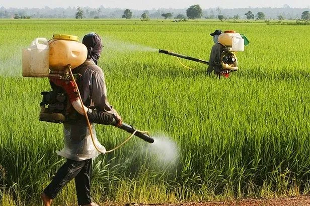 pestisit-nedir-neden-kullanilir-pestisit-oldurucu-mu-pestisit-ne-demek-zararlari-neler-tiktok-fenomeni-canli-yayinda-intihar-etti-1637915490197.jpg Pestisit ne demek, zararları neler? Pestisit nedir, neden kullanılır? Pestisit öldürücü mü? TikTok fenomeni canlı yayında intihar etti-4