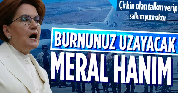 Sabah gazetesi yazarı Engin Ardıç'tan 'özel uçak kullanmam' diyen Meral Akşener'e: Burnunuz uzayacak-1