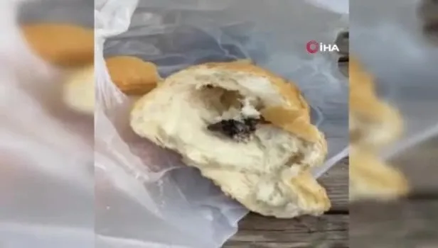 Antalya'da mide bulandıran olay! Ekmeğin içinden fare çıktı!