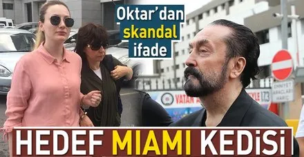 Miami kedisi