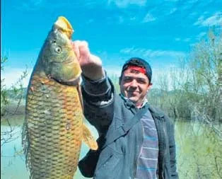 Devlet balığın peşine düştü