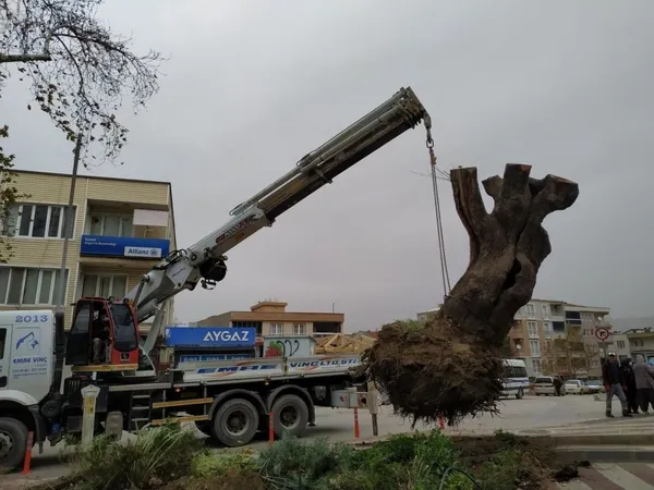 siddetli-lodos-bursa-kestelde-270-yillik-cinar-agacini-kokunden-soktu-1638176771433.jpg Şiddetli lodos Bursa Kestel'de 270 yıllık çınar ağacını kökünden söktü-6