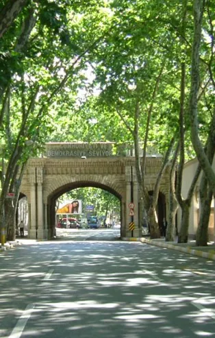 Her şey çok güzel olacak diye geldi! Çevre katliamına başladı! Önce dikey bahçeler şimdi çınarlar! İşte Ekrem İmamoğlu'nun hizmetleri!