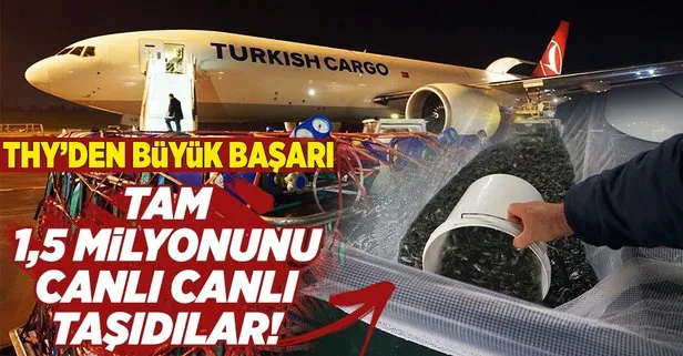 Turkish Cargo 1 5 Milyon Canli Cipurayi Umman A Tasidi Takvim