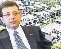 Ekosistemde silüet rüşveti: Rüşvet yoksa projeye onay yok