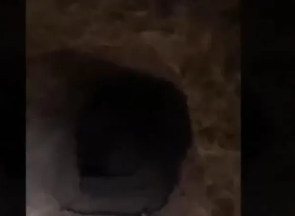 son-dakika-pence-kilit-harekatinda-yeni-goruntuler-1650445753883.jpeg Son dakika: Pençe-Kilit Harekatı'nda yeni görüntüler! Komandolar inlerini basıyor...-2