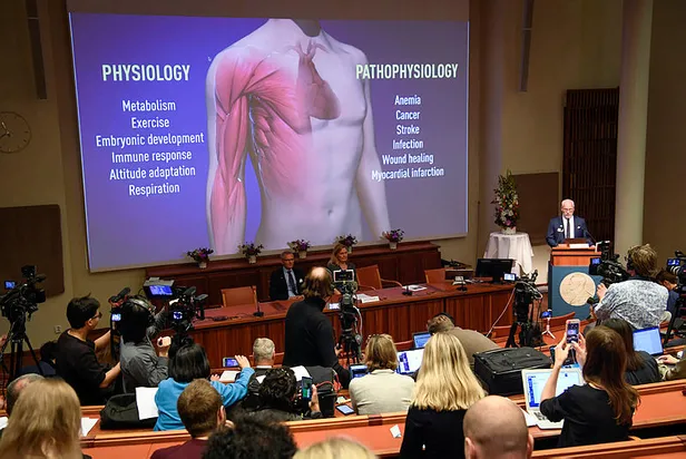 Son dakika: 2019 Nobel Tıp Ödülü sahibini buldu-1