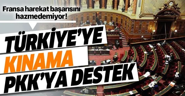 Fransa'dan PKK'ya destek veren tasarı