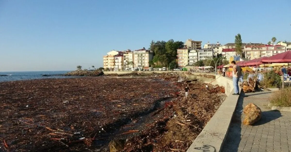 Giresun’da felaket: Sel sonrası denizin yüzeyini kapladı!