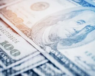 13 Ocak 2020 euro ve dolar bugün ne kadar oldu?