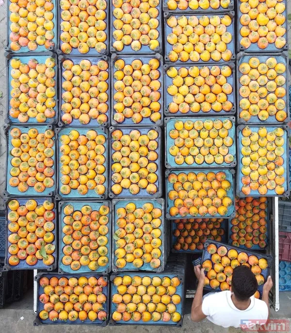 Cennet hurmasında yaş olanın fiyatı 6 kuru olanın fiyatı 50 TL! Almanlar kuru Ruslar yaş tercih ediyor - 11