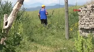 Ağrı’da Leyla seferberliği