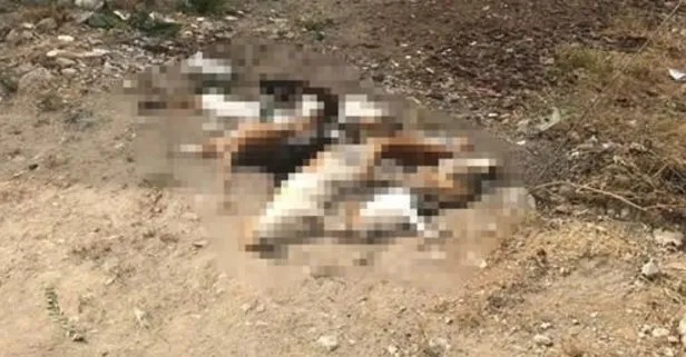 Katliamın adresi bu kez Muğla!