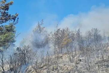 Bodrum’da orman yangını