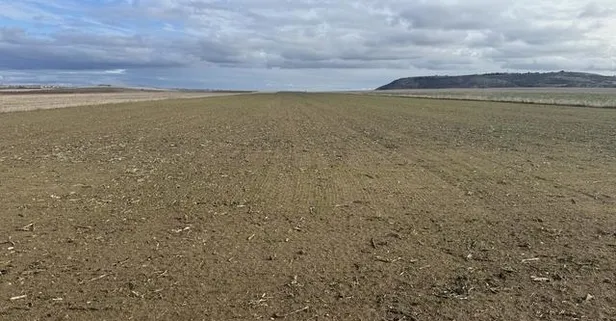 Trakya’da yağış bereket getirdi! Çiftçiler rahat nefes aldı