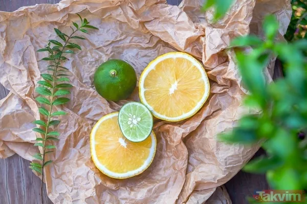 Her şey 2 bin 500 yıl önce başladı kimse böylesini beklemiyordu! Her derdin devası o hastalığı bile tarihten sildi - 49