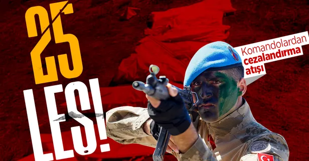 MSB duyurdu: Cezalandırma atışlarıyla 25 PKK'lı terörist etkisiz hale getirildi