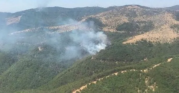 Son dakika: İzmir’de orman yangını