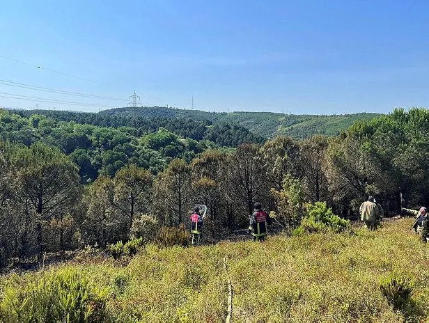 istanbul-sultangazi-kent-ormaninda-yangin-inceleme-baslatildi-1688998127568.jpeg İstanbul Sultangazi Kent Ormanı'nda yangın! İnceleme başlatıldı-1