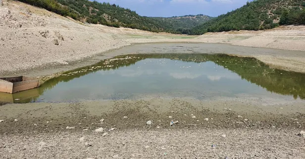 Bursa’da göletteki su çekildi balıklar öldü