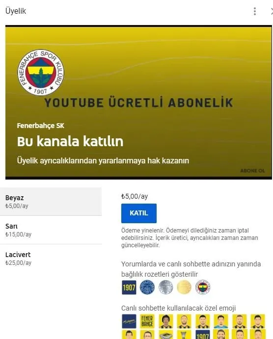 Fenerbahce Alanyaspor Skor Langsung Livescore Sofascore