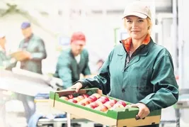 Asgari ücrette zam maratonu başlıyor! Hangi formüller masada?