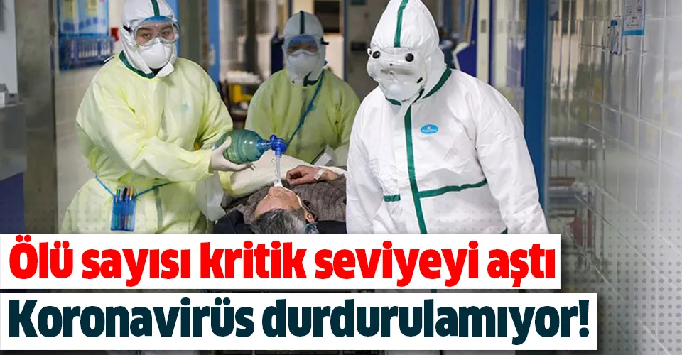 Çin'de koronavirüsten (Kovid-19) ölenlerin sayısı kritik seviyeyi aştı