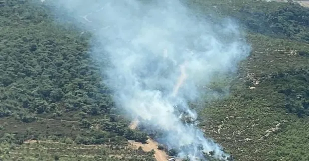 İzmir'de orman yangını! Ekiplerin müdahalesi sürüyor