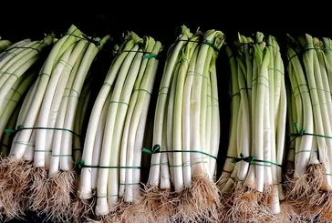 Romatizmadan korur hafızayı güçlendirir