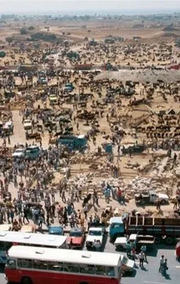 80`ler ve 90`lar Türkiye`si