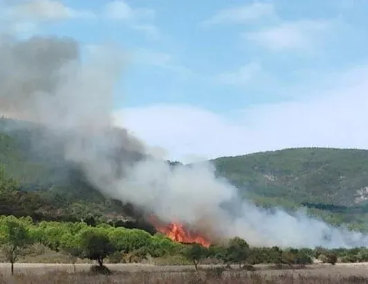 Çanakkale’de orman yangını