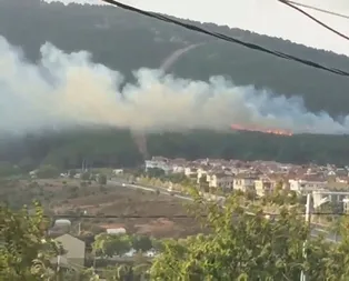 Son dakika: Pendik Kurtköyde bulunan ormanlık alanda korkutan yangın