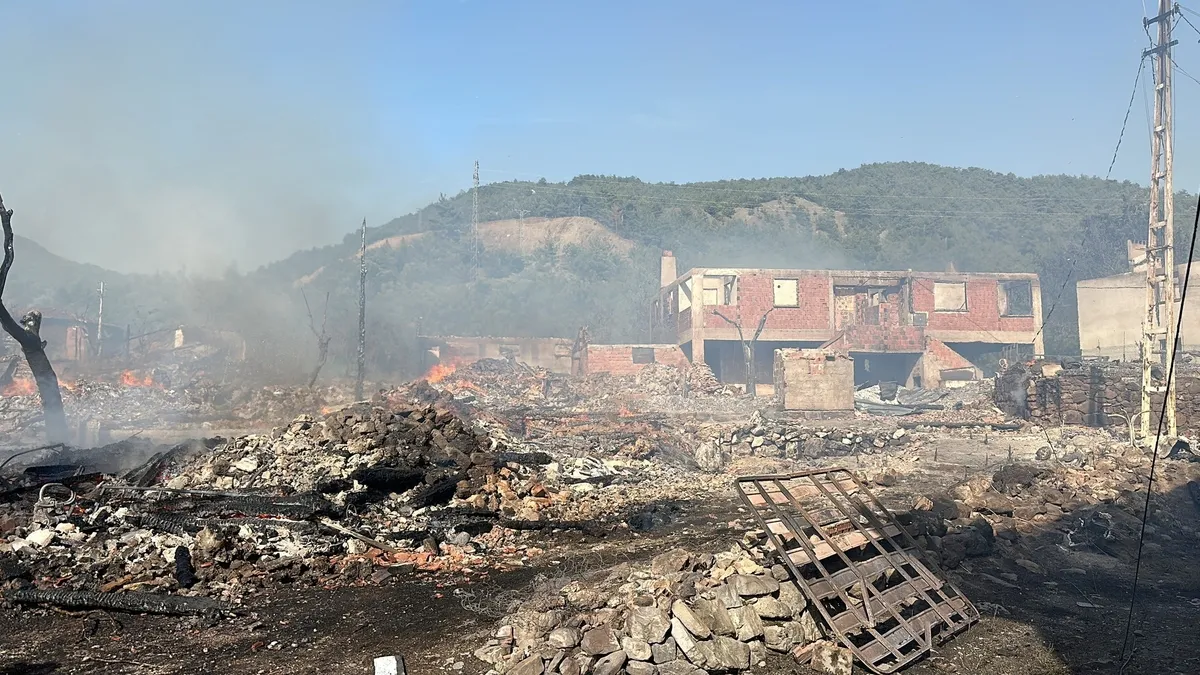 Kastamonu'da korkunç köy yangını! Mahalledeki 12 ev ve 4 hayvan yandı | Muhtardan isyan:  Bir tane itfaiyemiz yok!