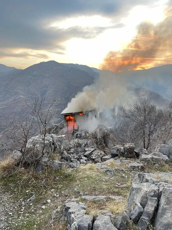 hain-tuzak-yaban-kecilerini-ceylanlari-boyle-tuzaga-dusuruyorlar-1638166552833.jpg Hain tuzak! Yaban keçilerini ceylanları böyle tuzağa düşürüyorlar-5