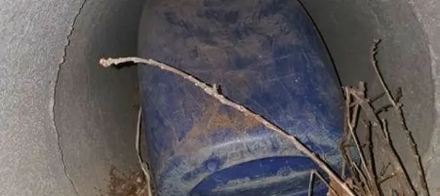 Bitlis'te hain tuzak engellendi