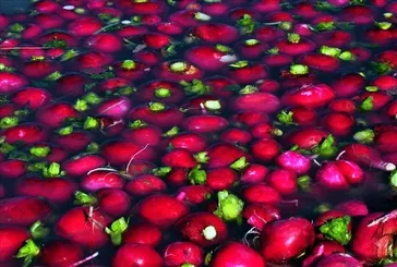 Kabızlığa çare turp