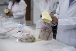 Tarım ve Orman Bakanlığı'nın ifşa ettiği taklit ve tağşiş ürünler burada inceleniyor! Domuz eti, sakatat, sahte bal, zeytinyağı...
