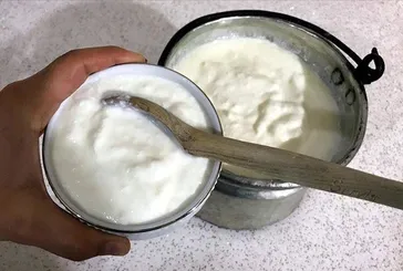Egzamanın ilacı kefir
