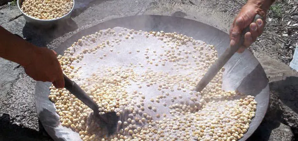 Tadını kumdan alan leblebi