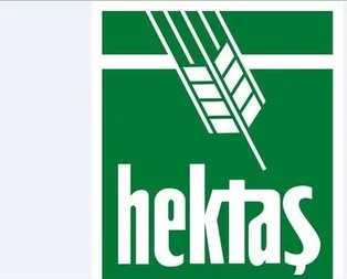 HEKTAŞ dezenfektan üretimine başladı