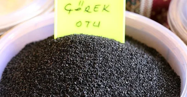 Diyabete çörek otu