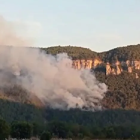 Karabük’te orman yangını
