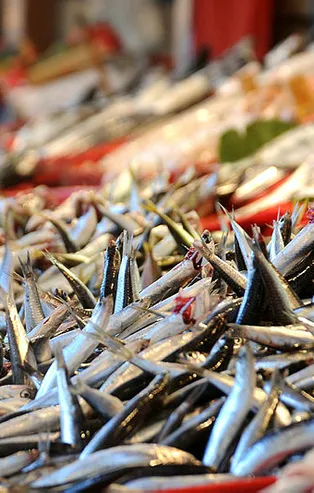 Hamsi nasıl yapılır? Hamsinin faydaları nelerdir?