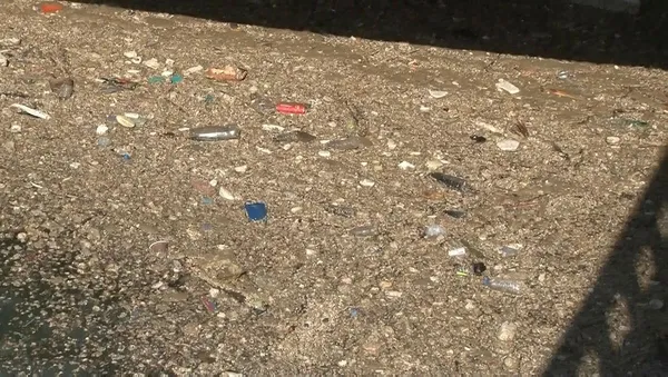 Son dakika: Deredeki balık nerede Ekrem İmamoğlu? Çöplüğe dönen Kurbağalıdere'ye tepki yağdı-9