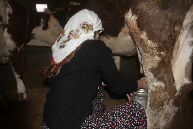 Elazığ'ın tek kadın ve en genç muhtarı Seda Gündoğan oldu-5