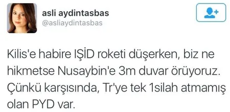 İmamoğlu'nun, PYD/YPG destekçisi Aslı Aydıntaşbaş'ı konsey üyesi yapması tartışma yarattı-9